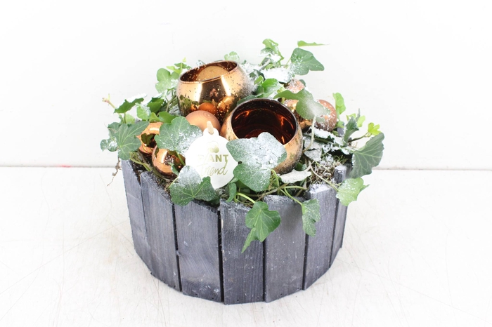 arr. PL Hedera - Hout pot grijs - b