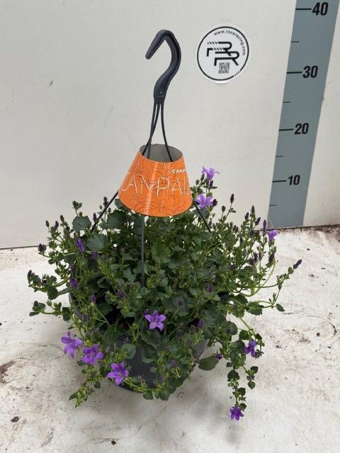 <h4>CAMP PORTENSCHLAGIAN</h4>