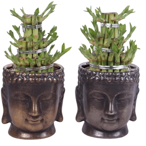 Lucky Bamboo Shape Round 3B in Ceramic Buddha Gold/Silver Ø15cm