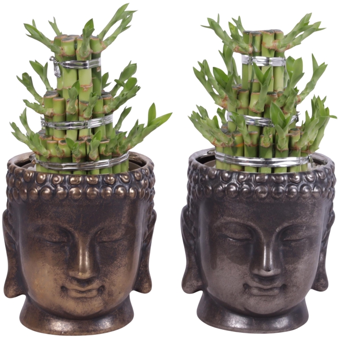 <h4>Lucky Bamboo Shape Round 3B in Ceramic Buddha Gold/Silver Ø15cm</h4>