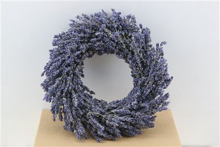 WR DRIED LAVENDEL 30CM