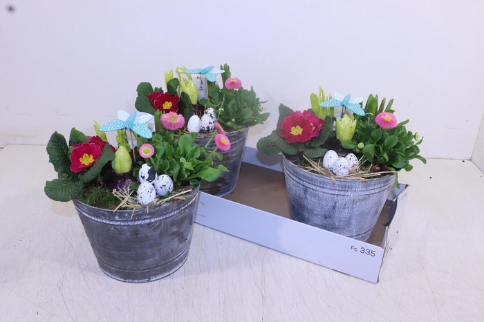 <h4>ARR PL IN SCHAAL</h4>