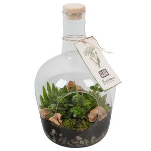 PTGIG2144 Arrangement Greens in glass in glazen fles