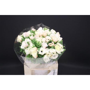 Anem Z Mistral White