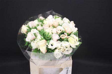 <h4>Anem Z Mistral White</h4>