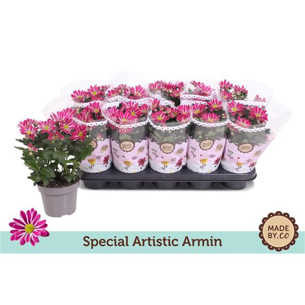 <h4>Chrysant Special Artist Armin</h4>