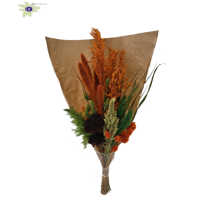 <h4>Dried Bouquet BQ 12</h4>