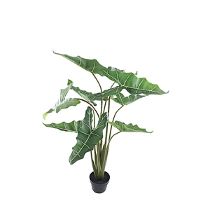 ALOCASIA POT PP550033GRN 120CM
