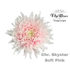 CHR G SKYSTAR SOFT PINK