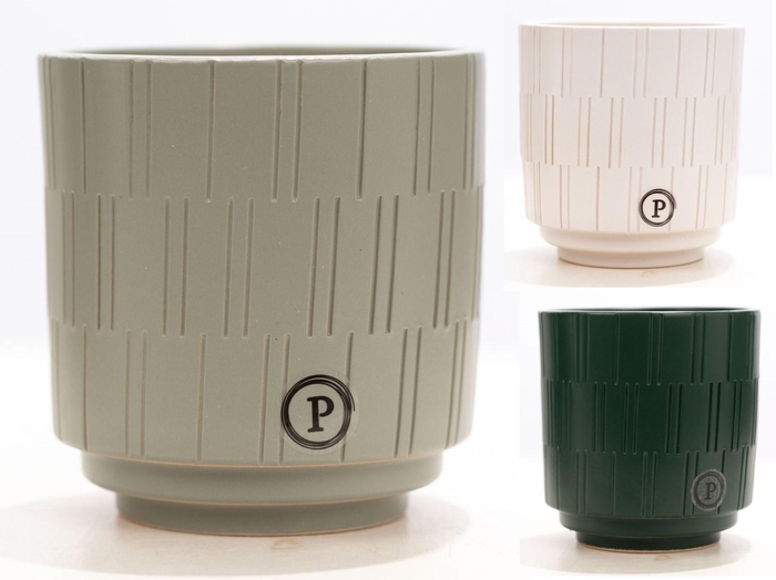 <h4>P&PURE Tess ceramics: 54 trays x 6 (4 grey/1 white</h4>