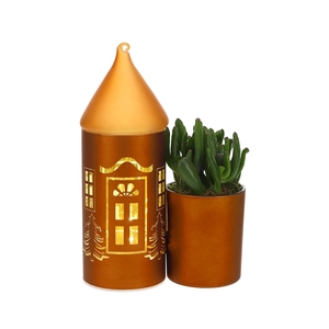 LED Duo glazen huis met Succulent
