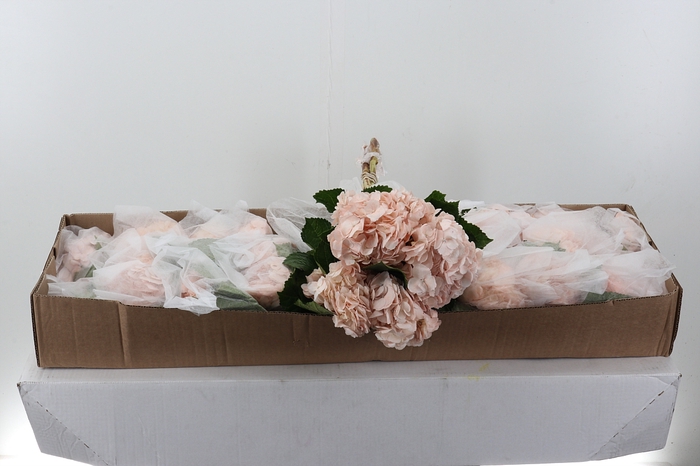 <h4>Hydr Peach Tinted Select Box</h4>