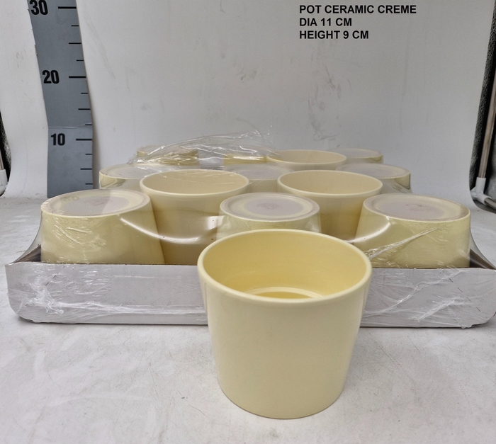 <h4>KERAMISCHE POT H%</h4>