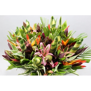 Heliconia A Bqt Kassoum Rond