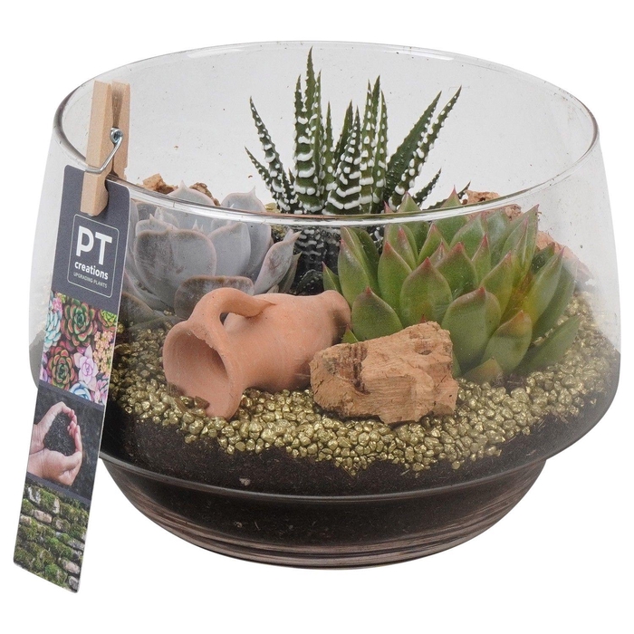 <h4>PTSU8412 Arrangement Succulenten in glazen vaas</h4>
