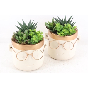 arr3 SN - Ker. pot gold bril XL