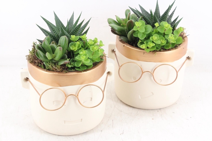 <h4>arr3 SN - Ker. pot gold bril XL</h4>