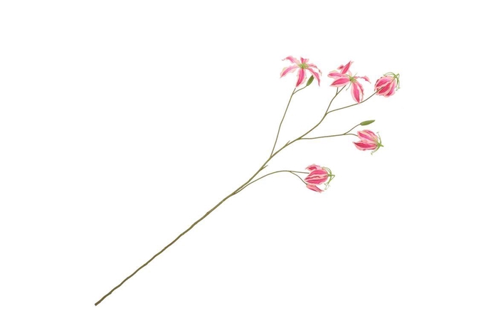 <h4>Silk Gloriosa Dark Pink 105cm</h4>