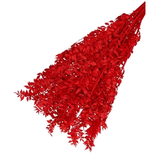 Dried flowers Ruscus 65cm 110g