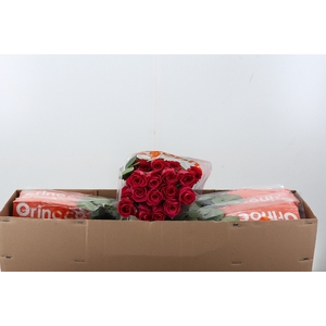 R Gr Pink Floyd! Box CO