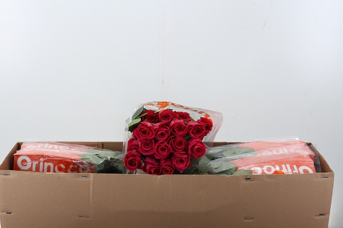 <h4>R Gr Pink Floyd! Box CO</h4>