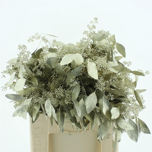 Euca Klb Populus Bes Platina 300gr