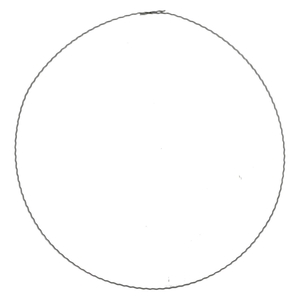 Bloemisterij Ring metaal d30cm