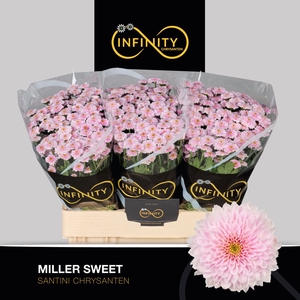 CHR S MILLER SWEET