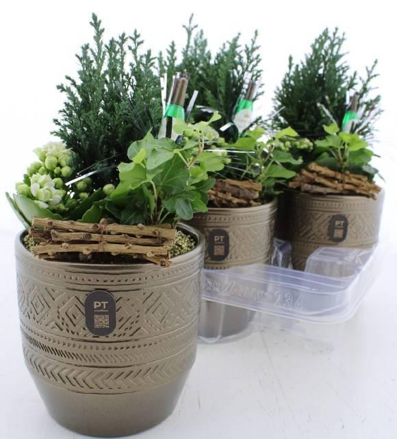 <h4>ARR KAMERPL</h4>