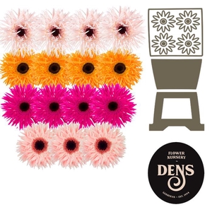 Gerbera Spider Mix Spider Diamond