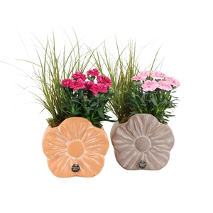 31693: Outdoor summer arrangement