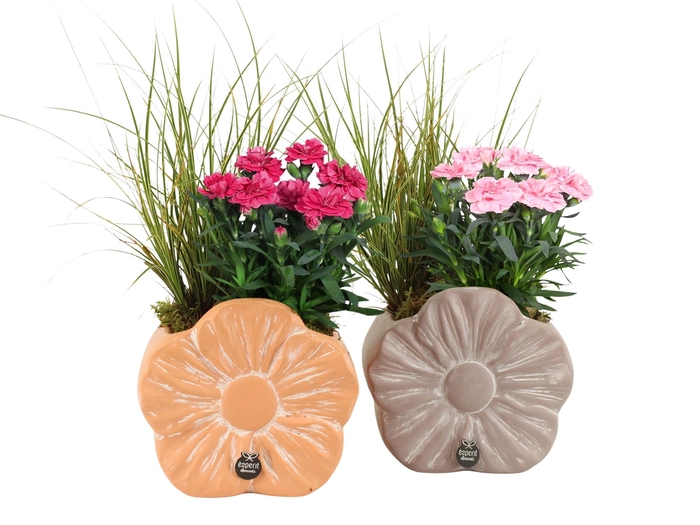 <h4>31693: Outdoor summer arrangement</h4>