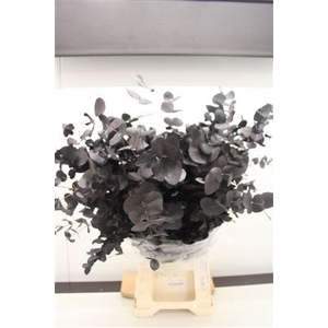 Stuartiana St Black 150gr