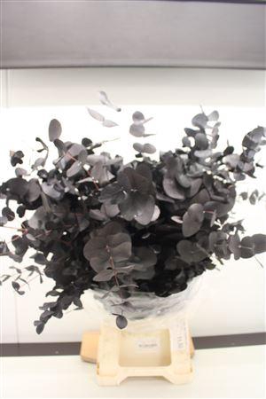 <h4>Stuartiana St Black 150gr</h4>