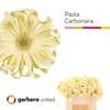 Ge Kv Pasta Carbonara