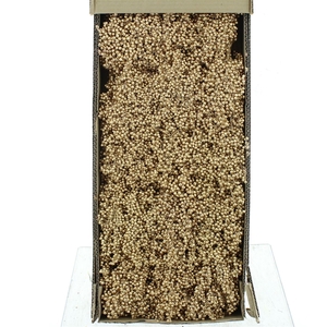 Dried Pepper Berries Antique Gold