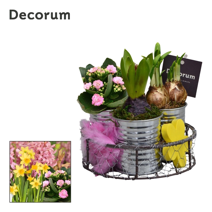 <h4>Calandiva & Narcis Brocante Zink GM HL29687</h4>