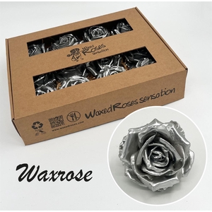Zijde R Wx Zilver