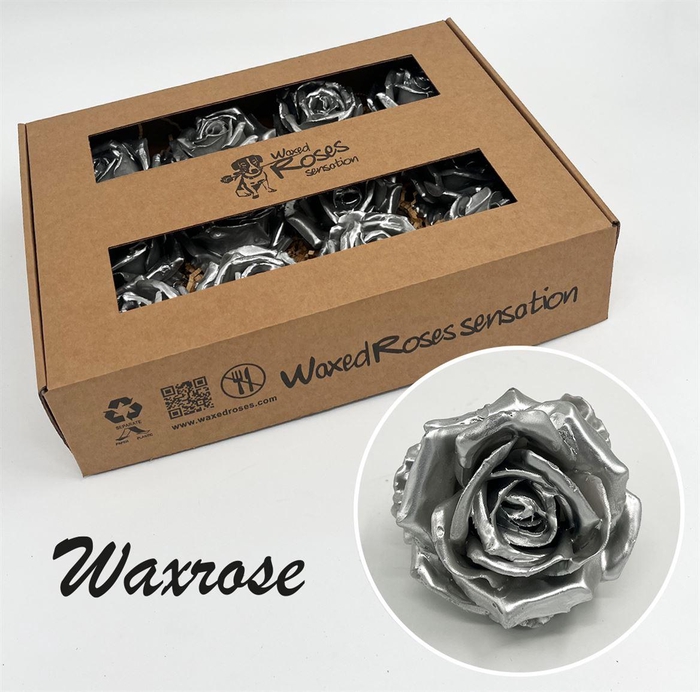 <h4>Zijde R Wx Zilver</h4>