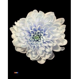 Chr T Altaj Delfts Blue