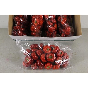 Frt Solanum Small Red (250g)