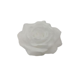 WAX ROSE D10 WHITE