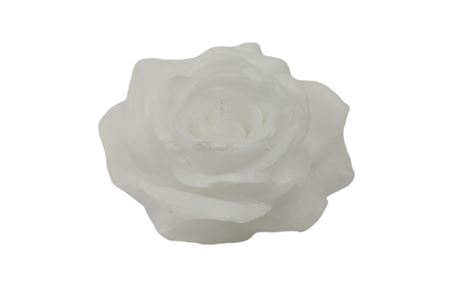 <h4>WAX ROSE D10 WHITE</h4>