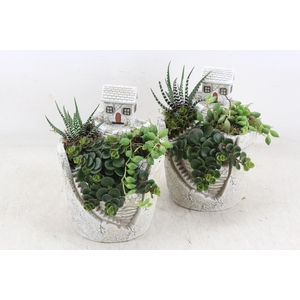 arr3 SN - Hill top house/garden