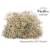 GYPS PA VIP PASTEL MIX