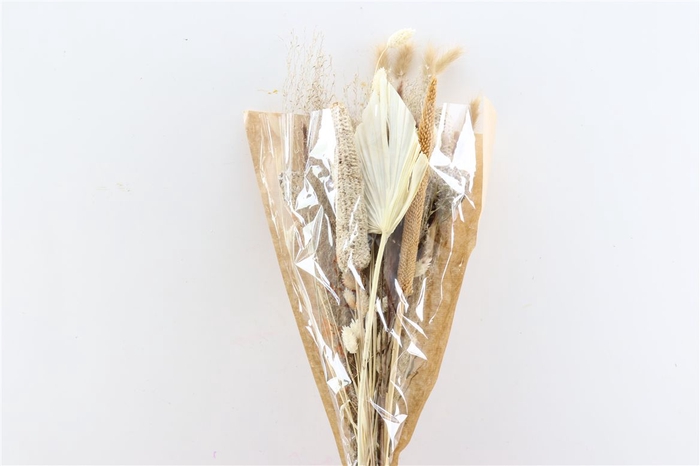 <h4>Dried Bouquet Malaga</h4>