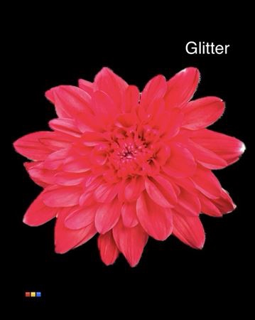 Chr T Euro Red + Glit Bio