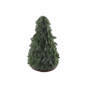 Nobilis Tree Green XM660078GRN
