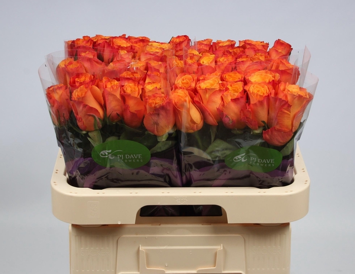 <h4>R GR CONFIDENTIAL</h4>