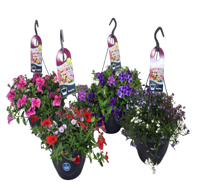 'Weekaanbieding; Hangpotten 27 waterreservoir Divers